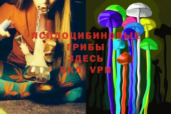 прущая мука Белокуриха