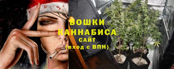 первитин Белоозёрский